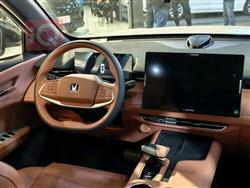 شانجان يوني - Z